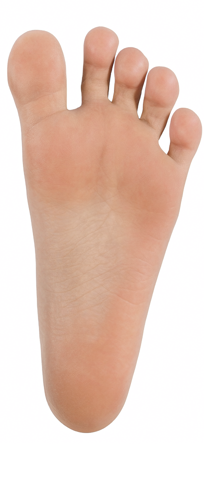 Natural Foot Overlay